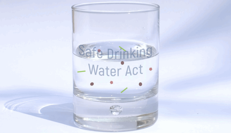 manu-schwendener-zFEY4DP4h6c-unsplash2