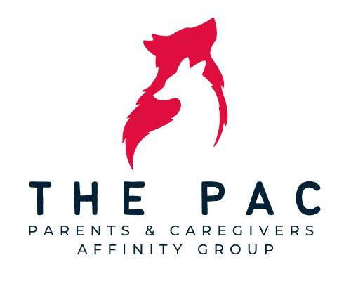 The PAC group logo. Diversity & Inclusion at Pace.