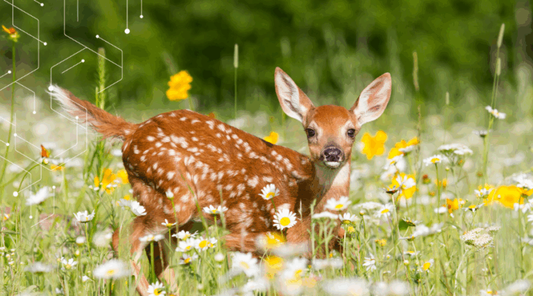 blog20header2028229-3