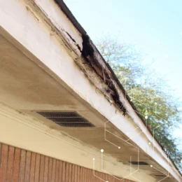 Ideal Conditions for Wood Decay