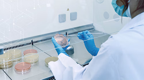 USP Q&A Do I need to have a microbiologist on staff?