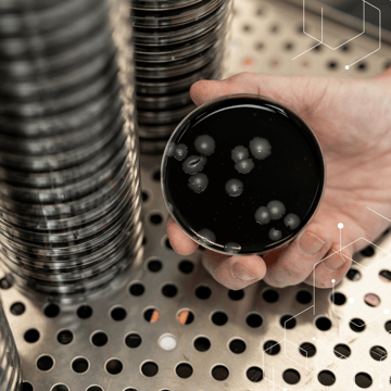 BLOG IMAGE SQUARE (12)