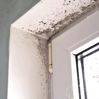 BLOG IMAGE SQUARE (2)