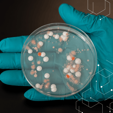 BLOG IMAGE SQUARE (3)