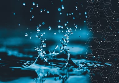 pexels-sourav-mishra-1231622-(1)