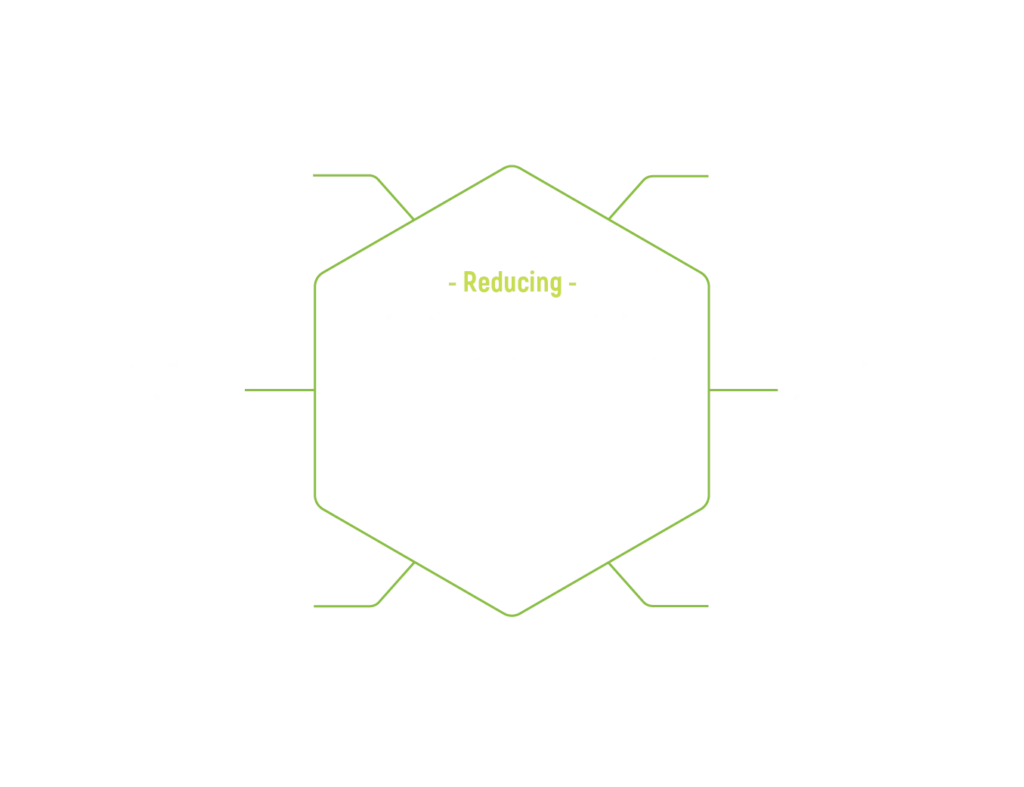 Sustainability at Paceº graphic